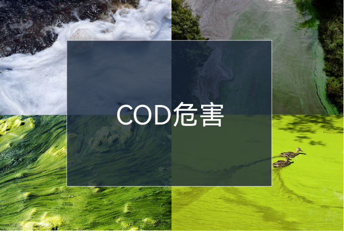 365Ӣ()޹˾-Official website